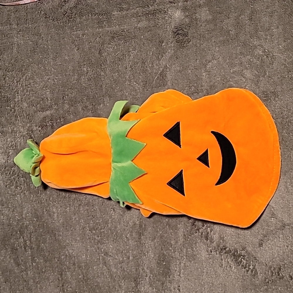 PUMPKIN PUPPY OUTFIT
